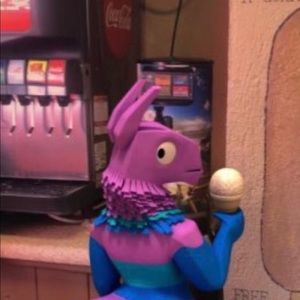 Meet your Posher, Kayleen